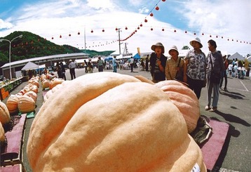 かぼちゃ祭り