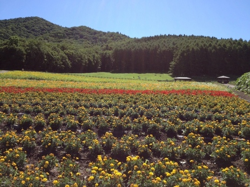 観光農園・ふれあい牧場